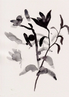 http://www.soerenhiob.com/files/gimgs/th-99_4  5.jpg